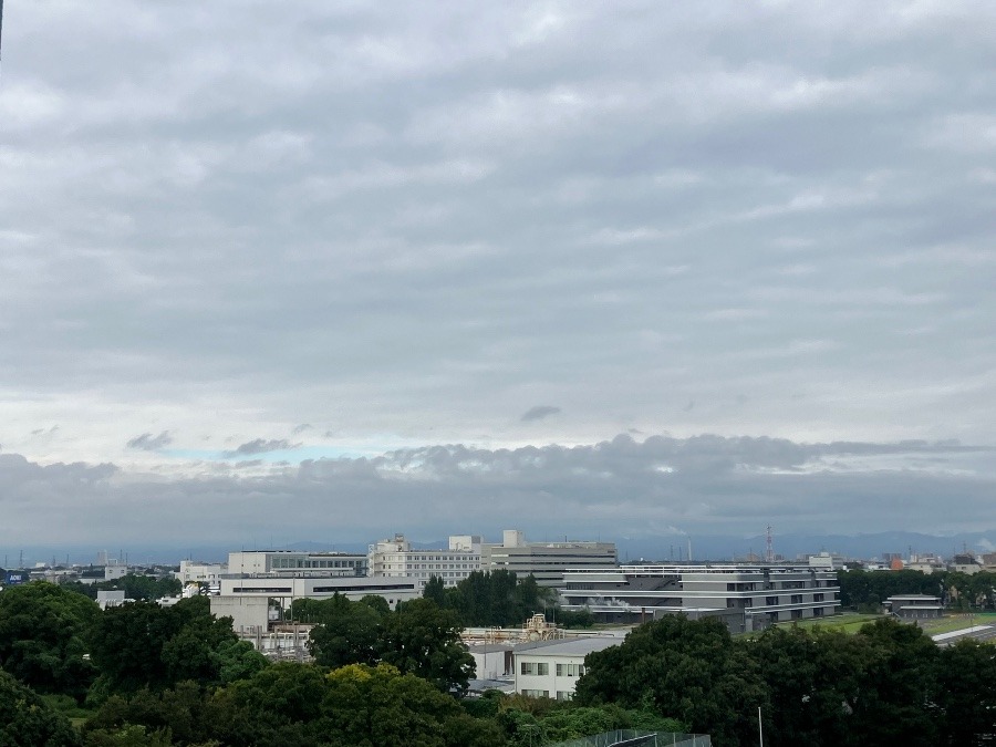 今朝の富士山