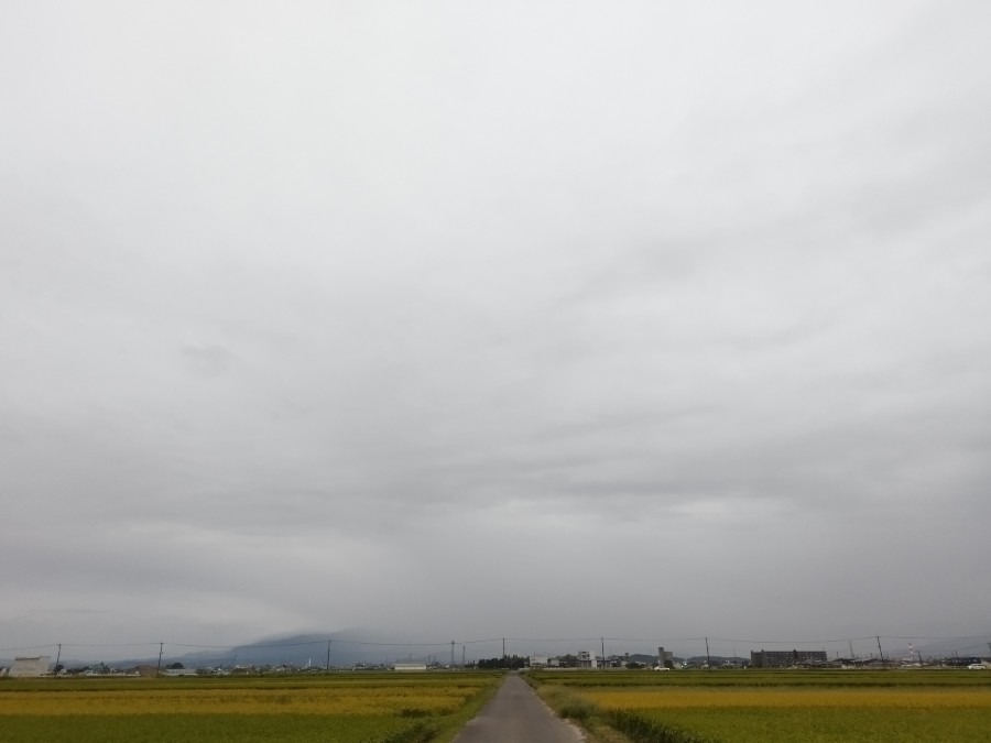 都城市（2022/9/22）今朝は曇り空😓❗（東の空）