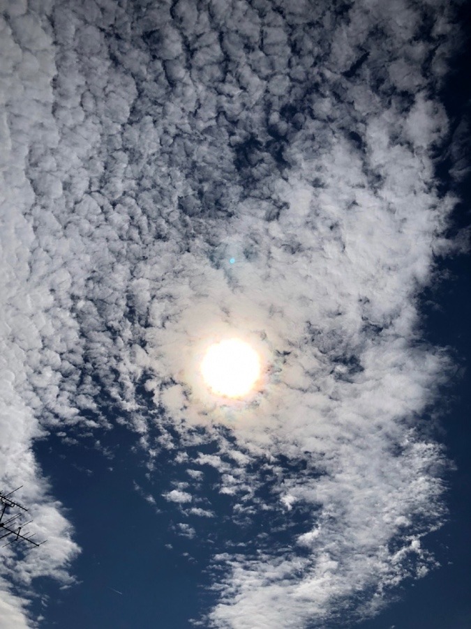 🌤お昼頃の空