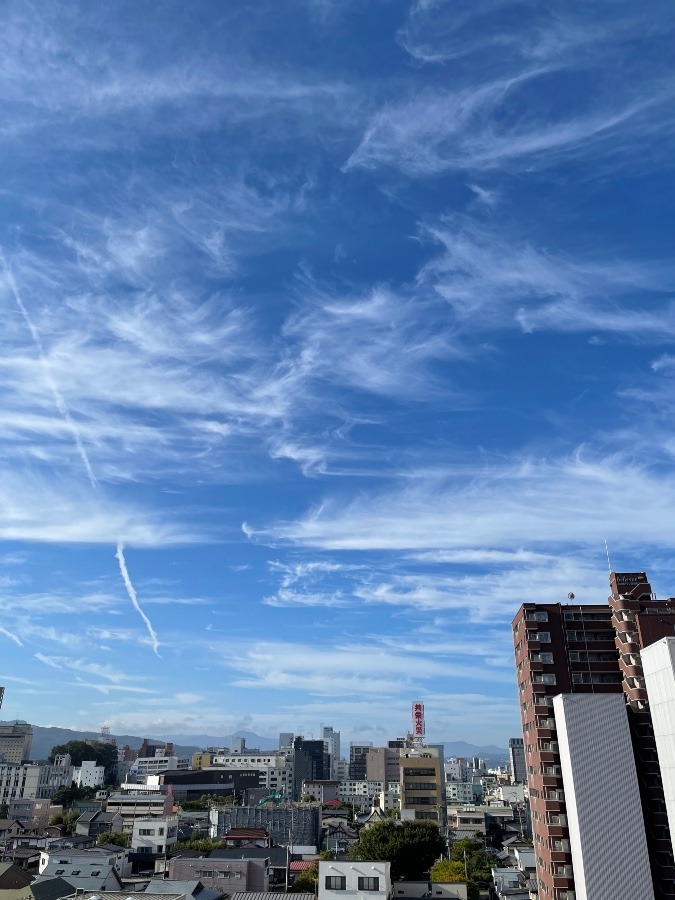 朝の空