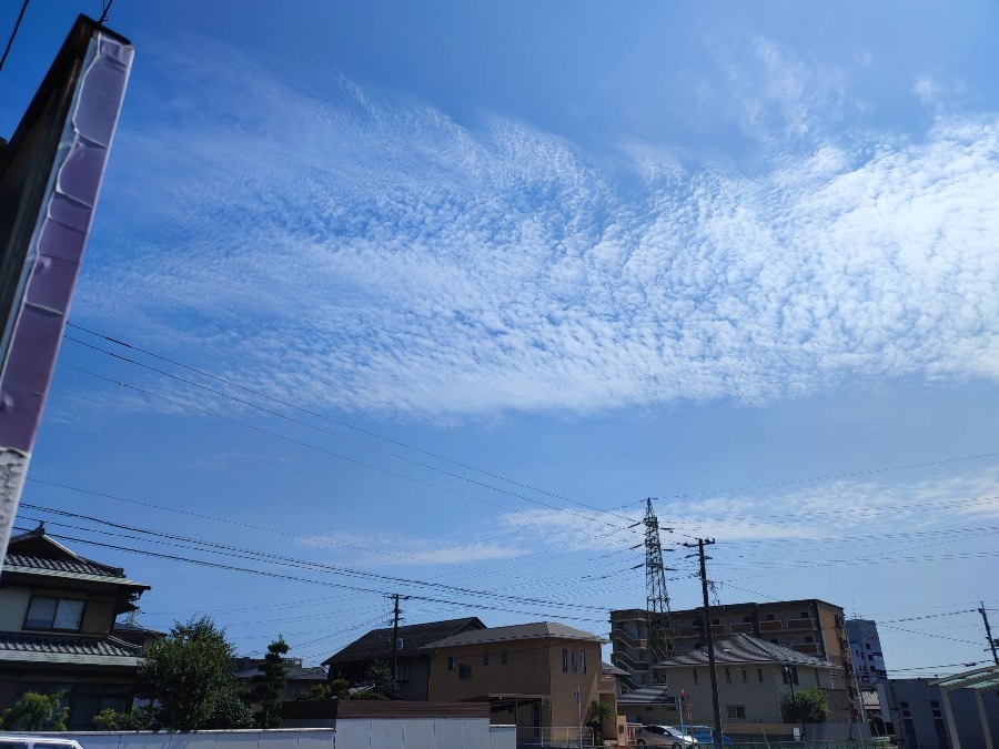 宮崎市の昼空☁