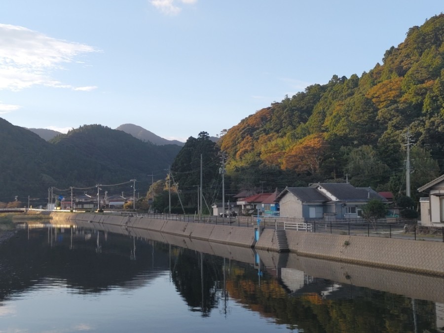 ひときわ高い樹木の奥が佃屋さん（^^♪