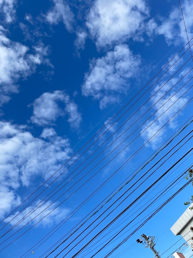 今日の岡崎