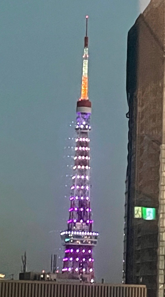 綺麗なライトアップ❣️