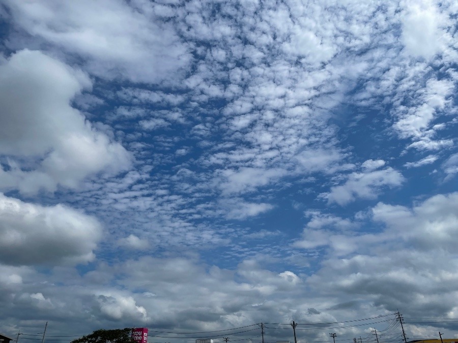 朝の空　10時