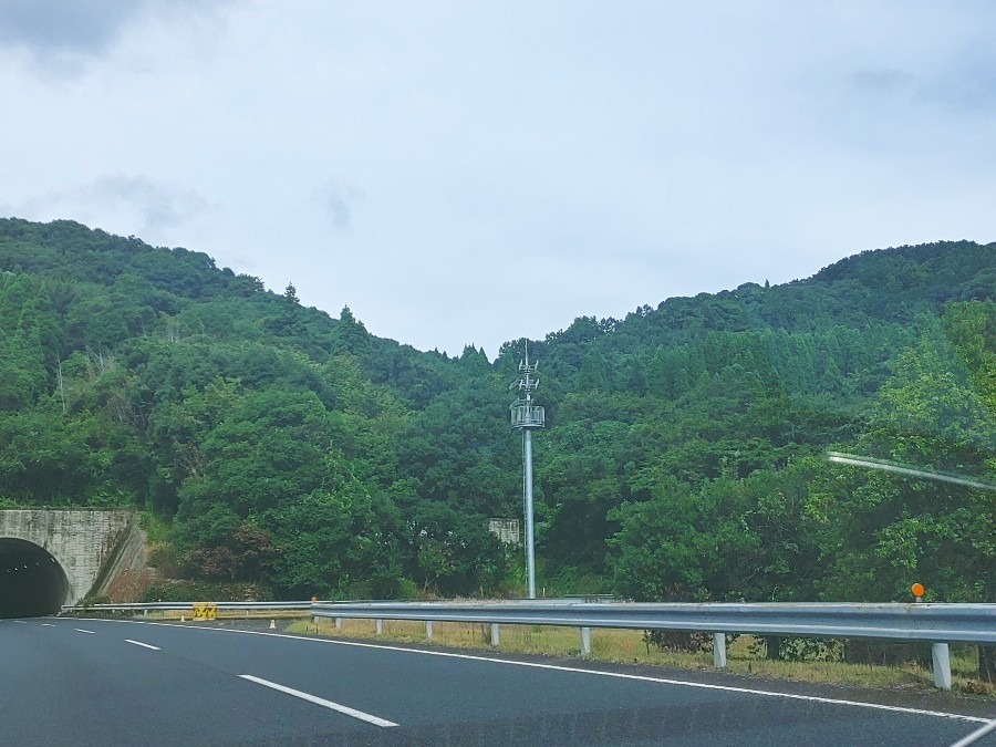 いよいよ高崎山通過🚙💨(^^)d