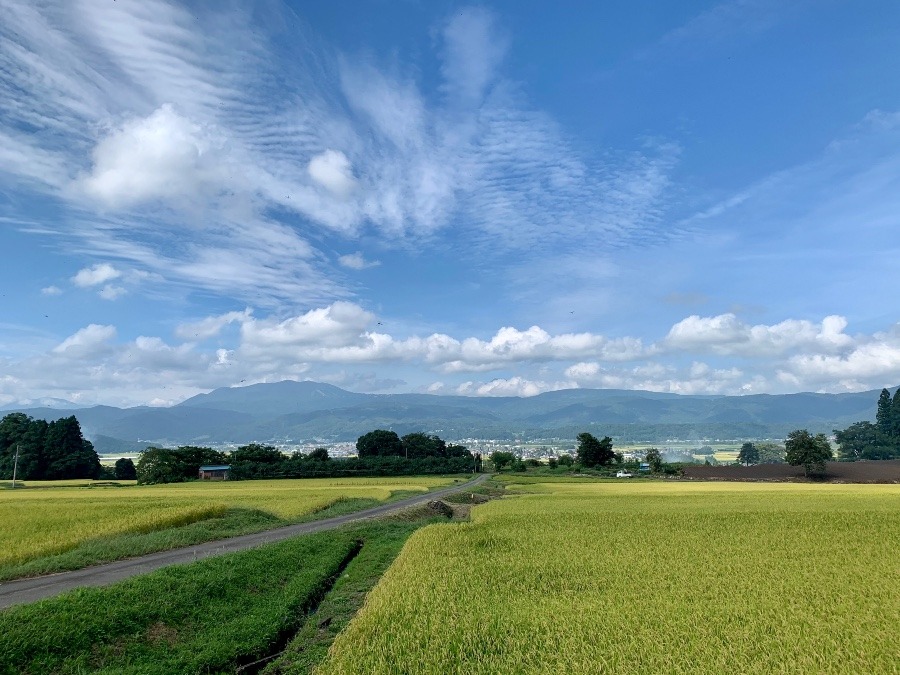 実りある風景