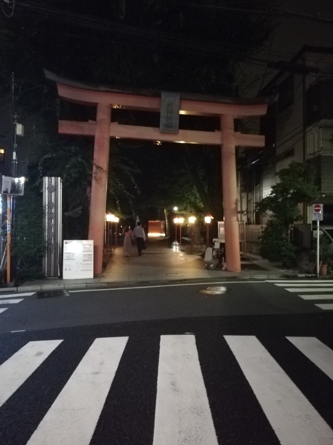 夜の鳥居