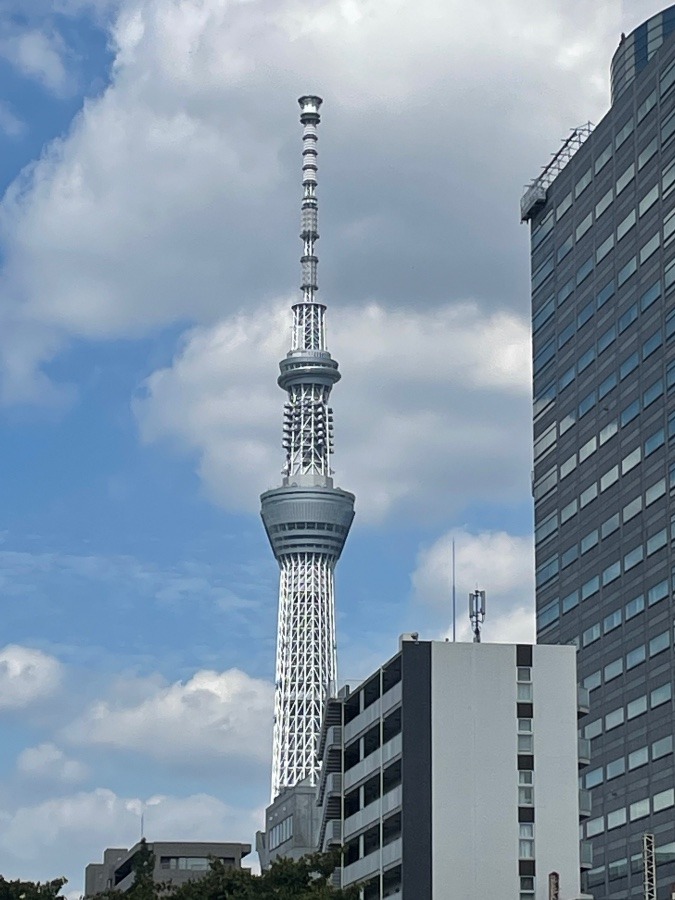 成田に行く途中❣️