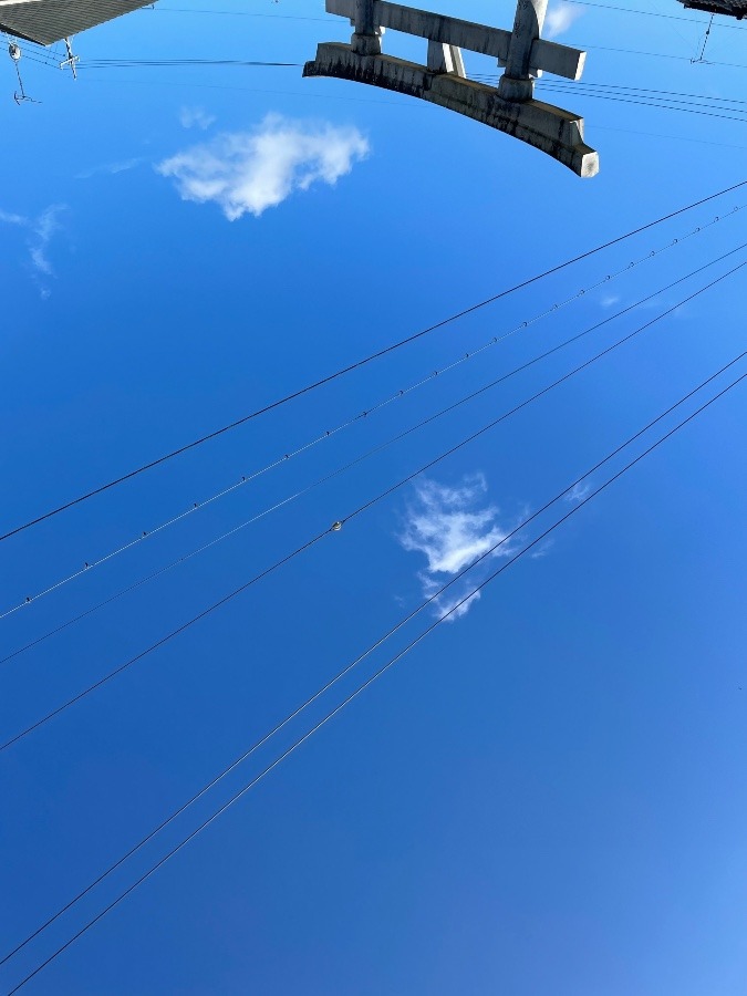 今日の岡崎