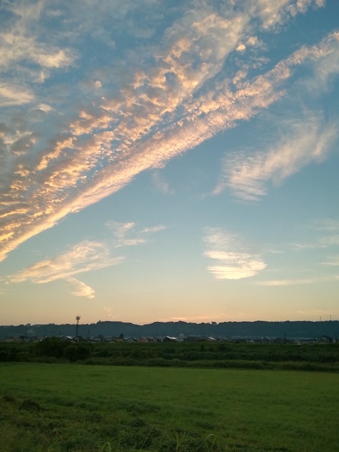 今朝の空