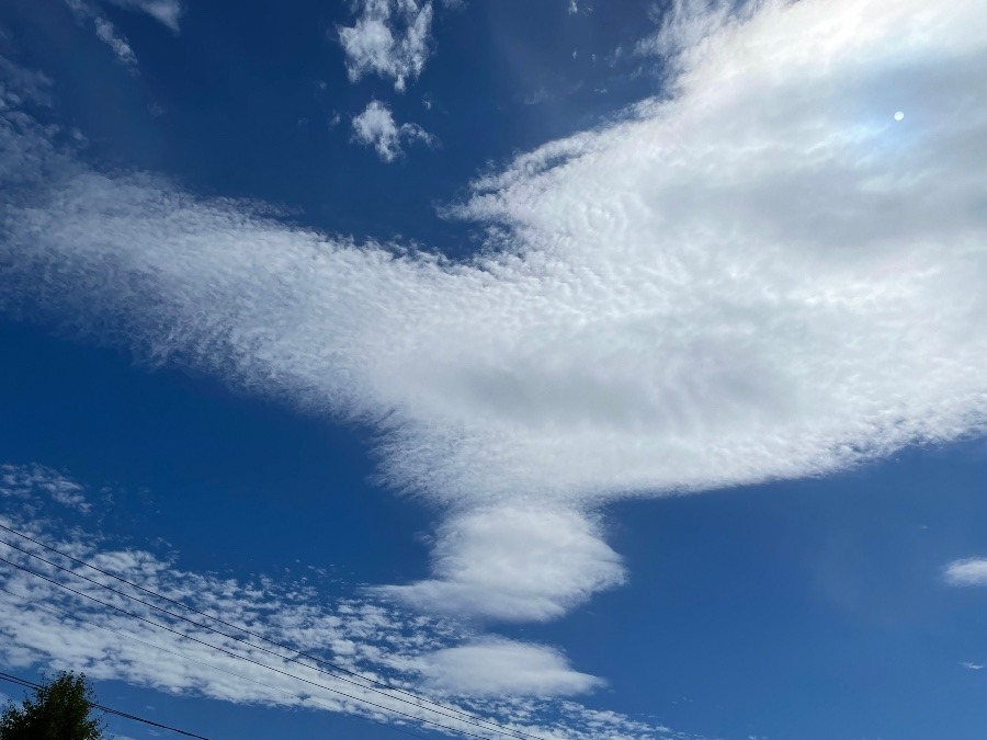 お昼ごろ。わた雪みたい☁️