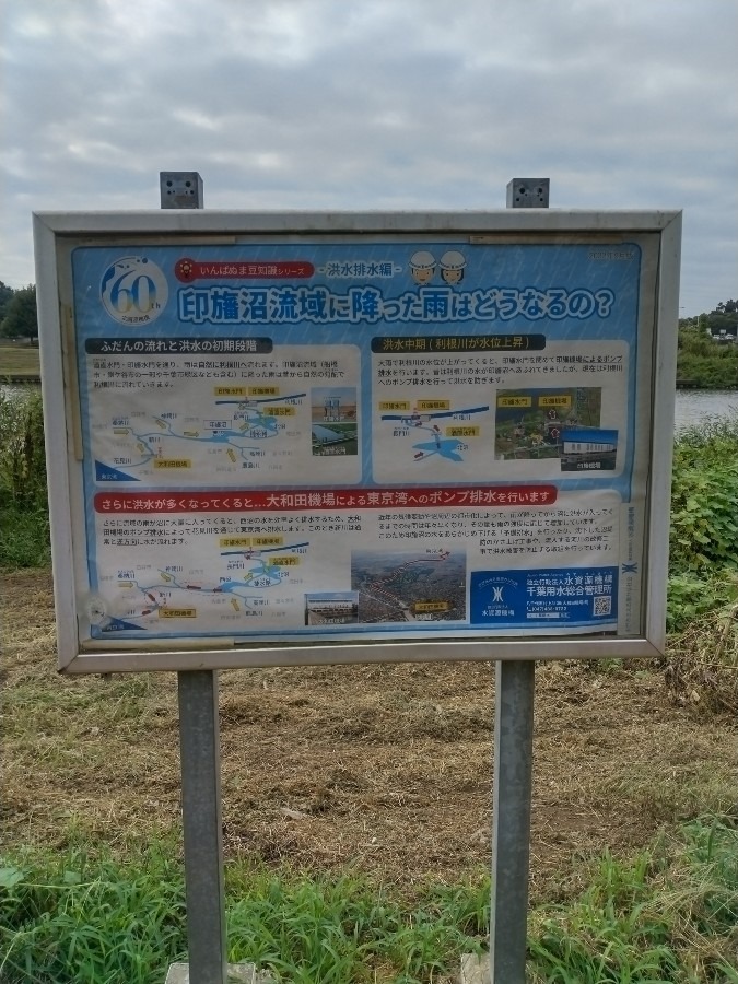 看板です！