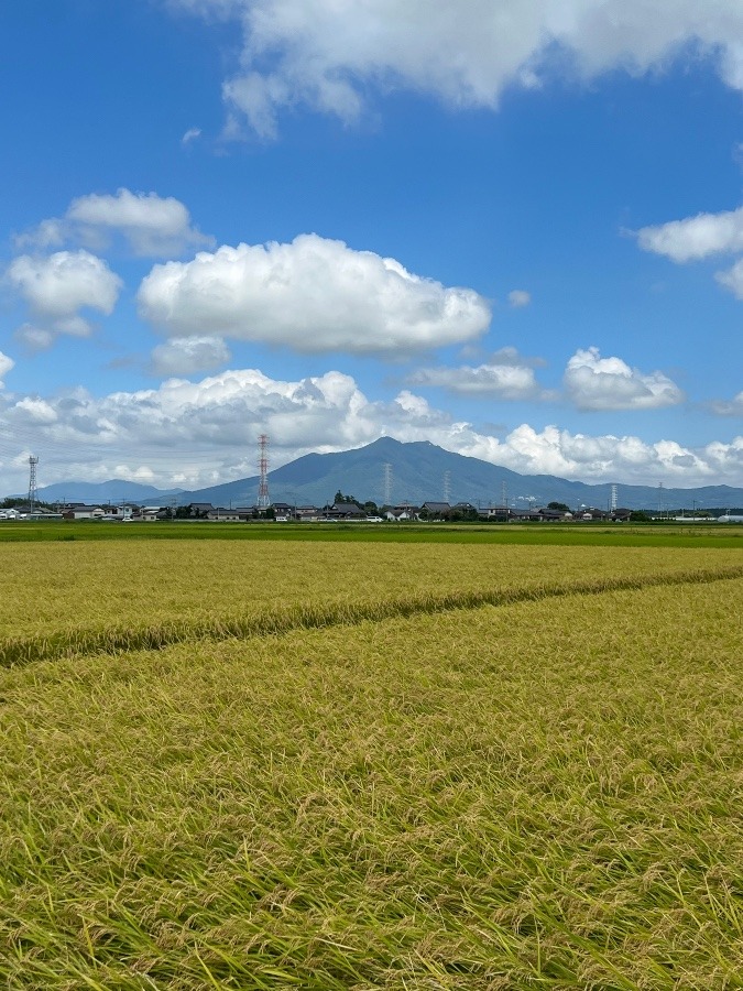 秋空