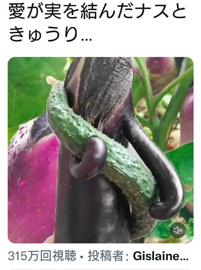 💞凄い🥒🍆💞