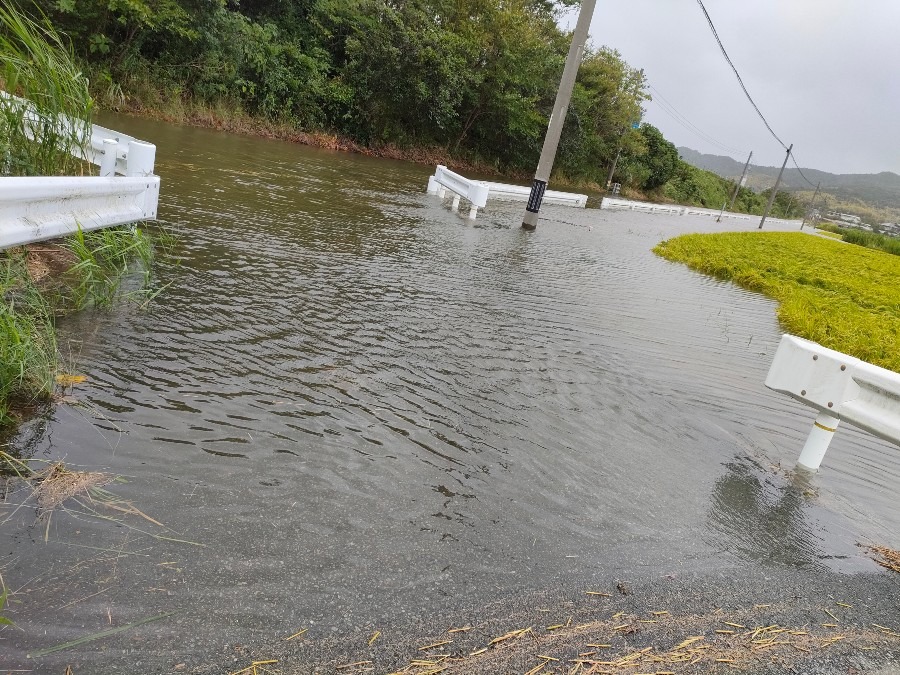 台風の被害🌀