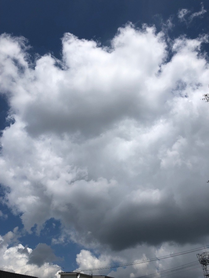 まだまだ夏空