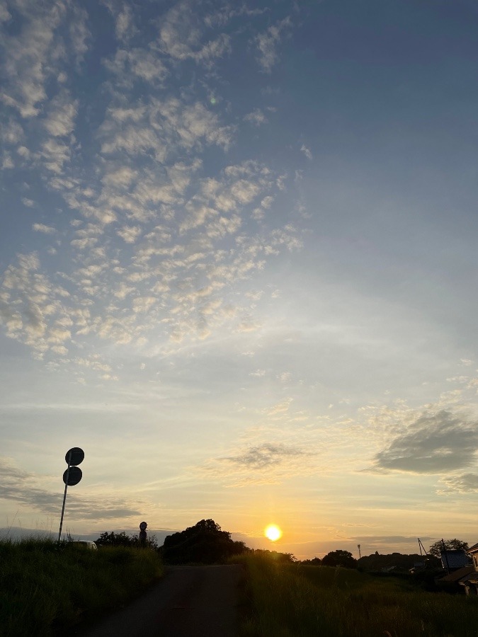9/12   あさ