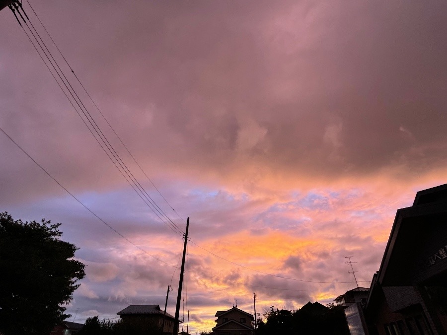 今日の夕焼け③