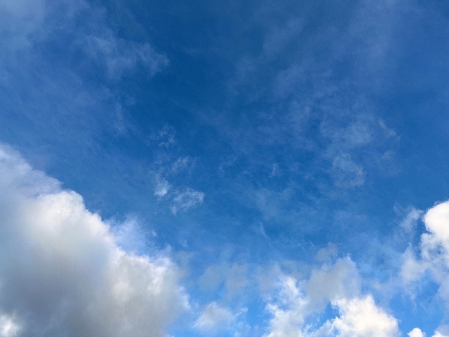 朝の空