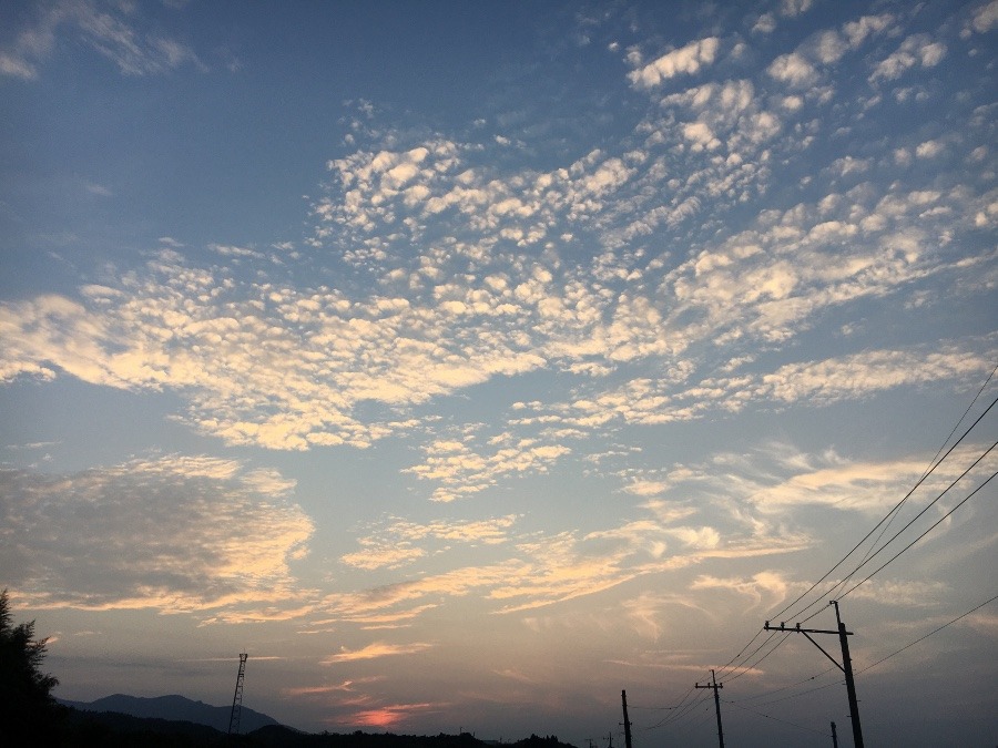 ⭕️宮崎市の夕焼け‼️(^O^)