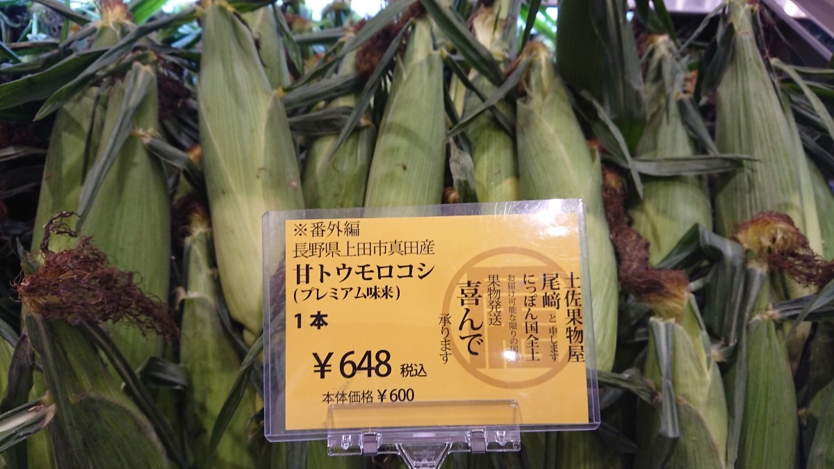 生でも食べられるとうもろこし🌽