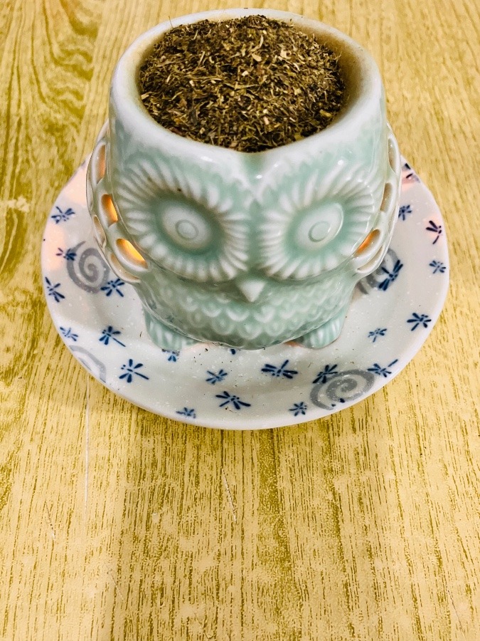 そうだ！茶香炉でお茶を焚こう( ・∇・)