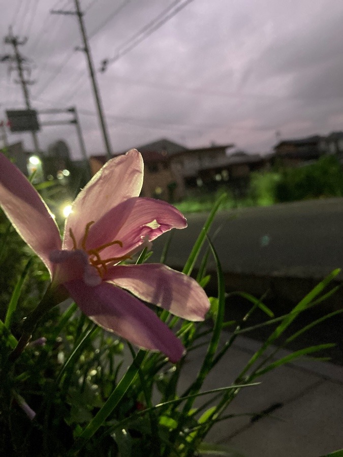 明日に向かって✨