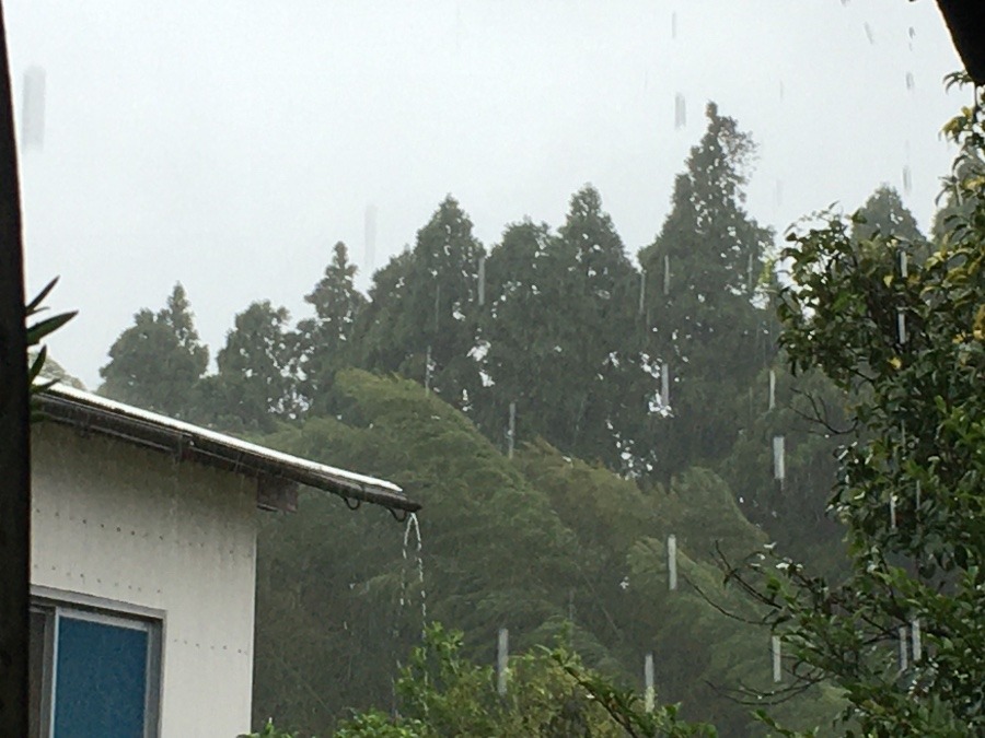 台風、暴風域‼️（≧∇≦）