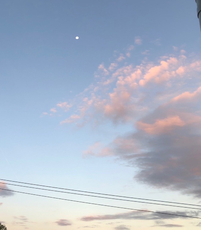 🌕たまには☀️