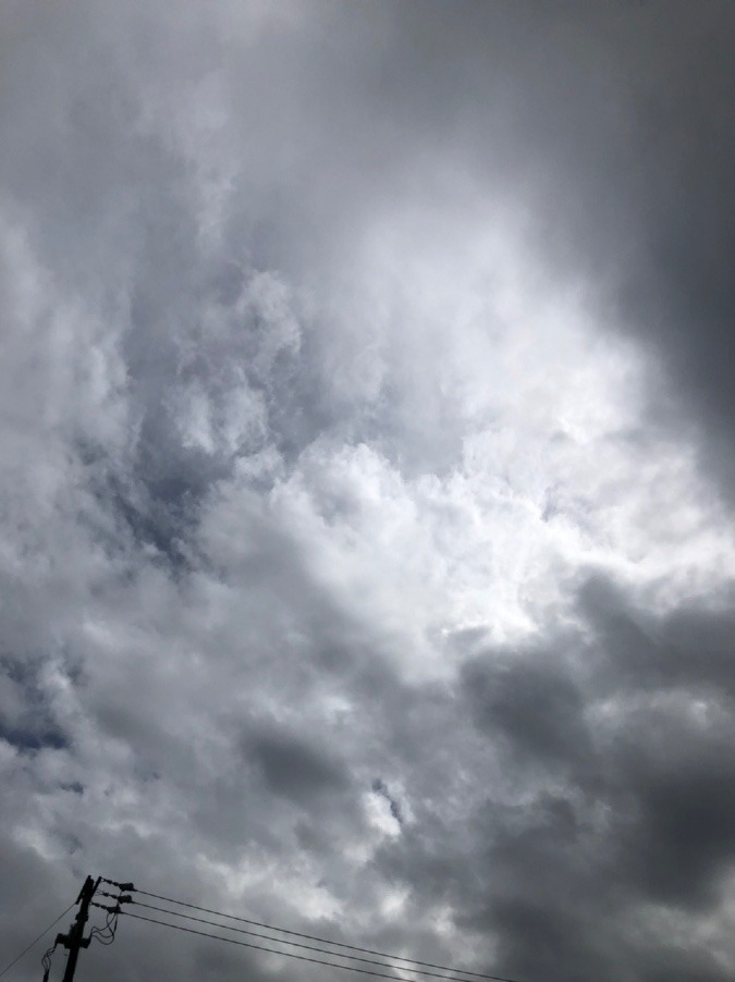 🌤雷雨の後⚡️☔️