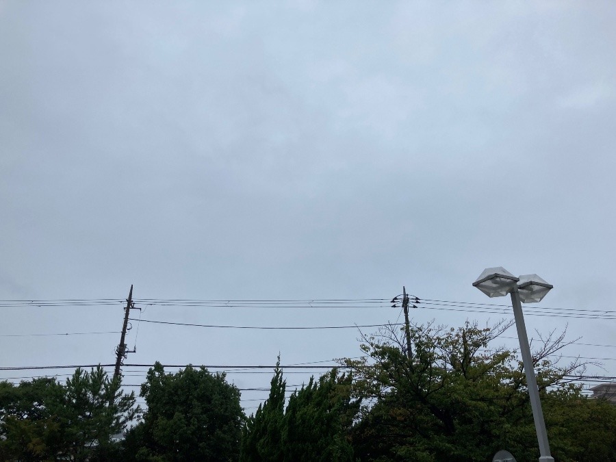 雨が降っています…。