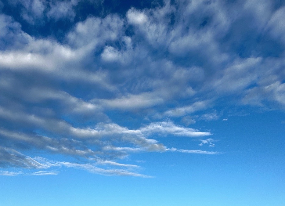朝の空