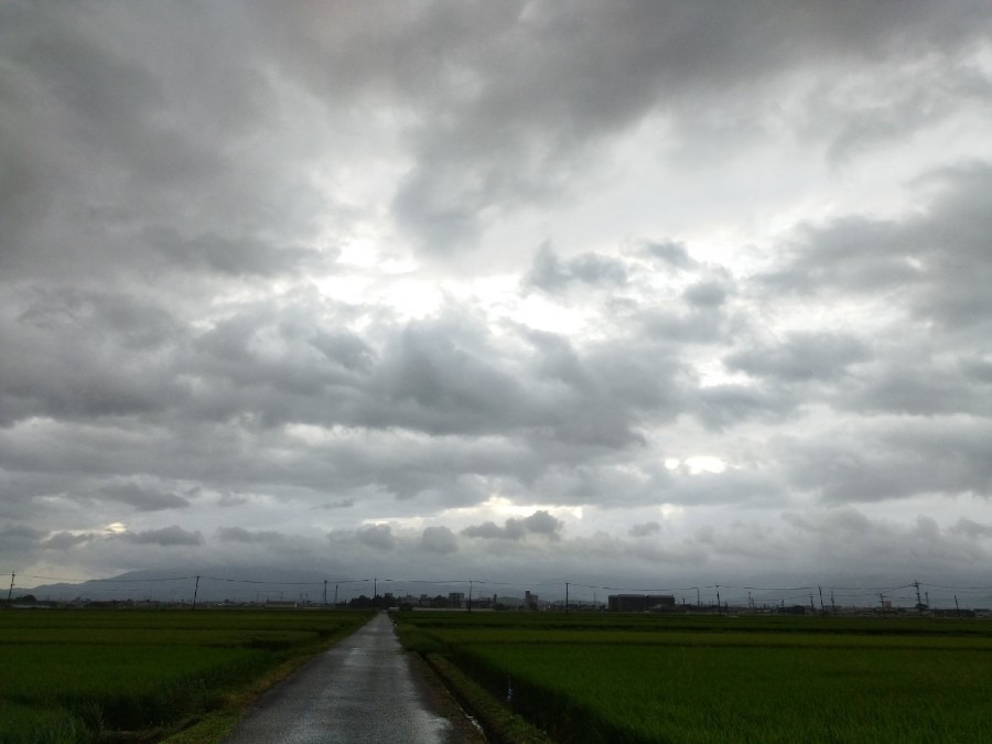 都城市（2022/9/6）今朝は曇り空❗たまに小雨😄（東の空）⤴️