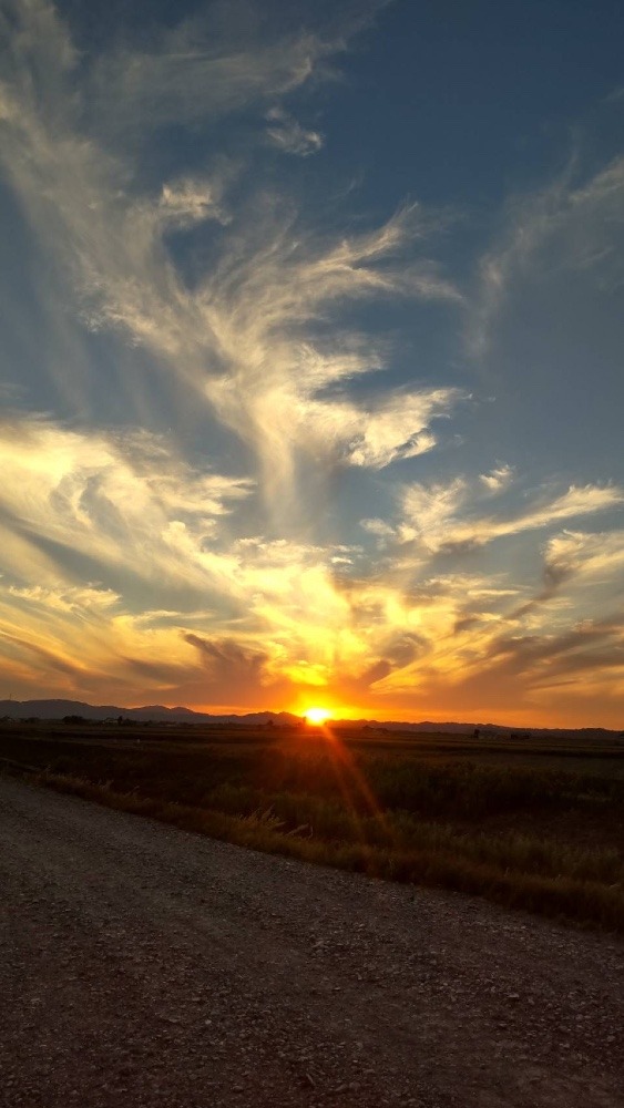 テルミちゃんの農場（空知）北海道の大地の夕日