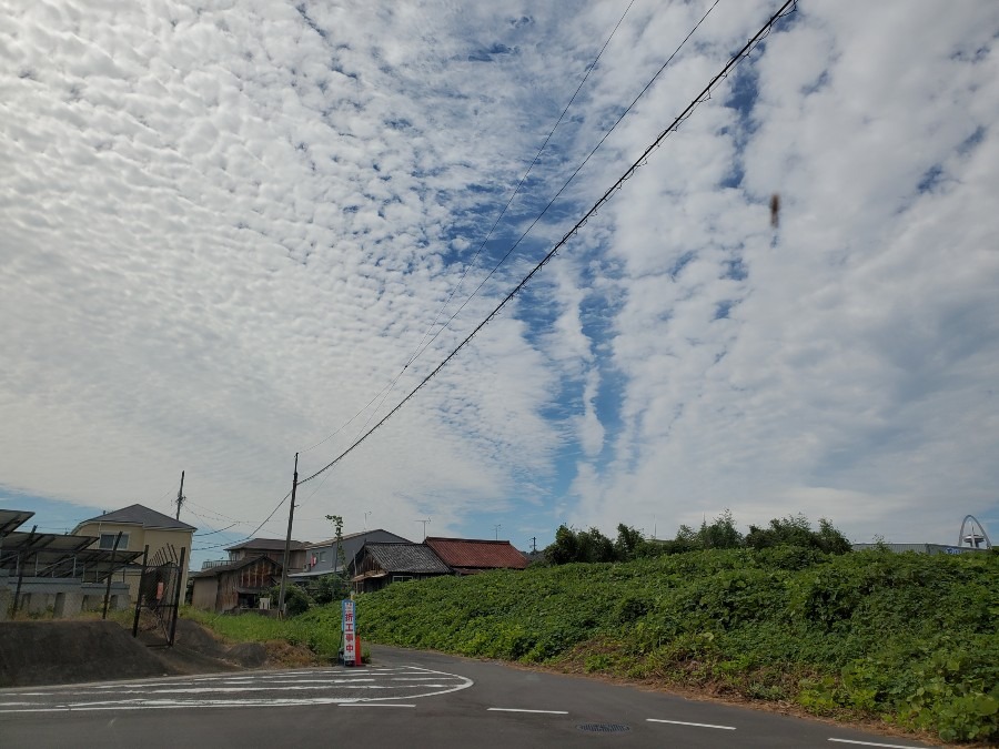 出勤前の今日の空