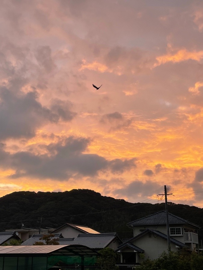 今の空✨