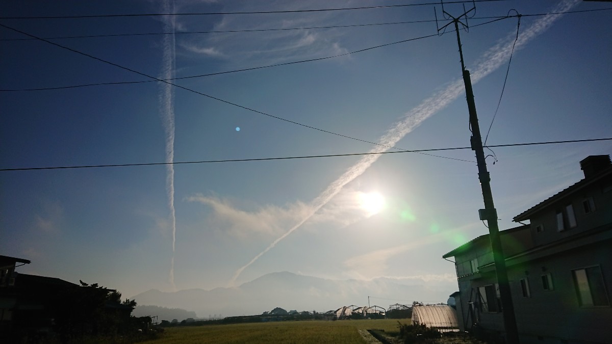 今日の太陽さん