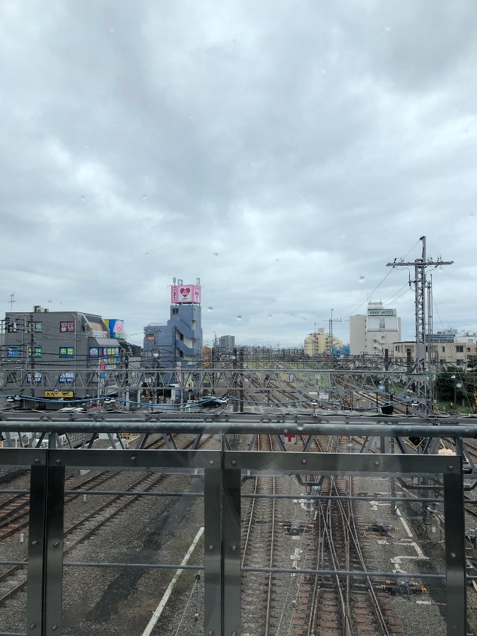 雨は、一旦止みました