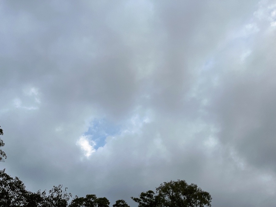 【朝の空】