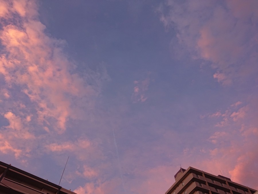 宮崎「今空」振り向いた先の空