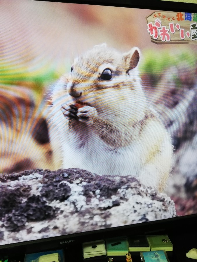 こんにちは:-)