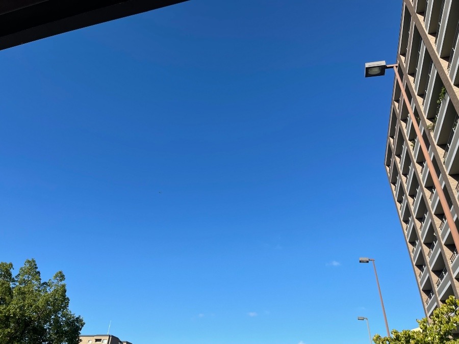 今朝の空