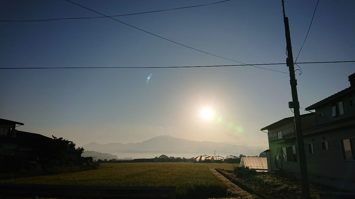 今日の太陽さん