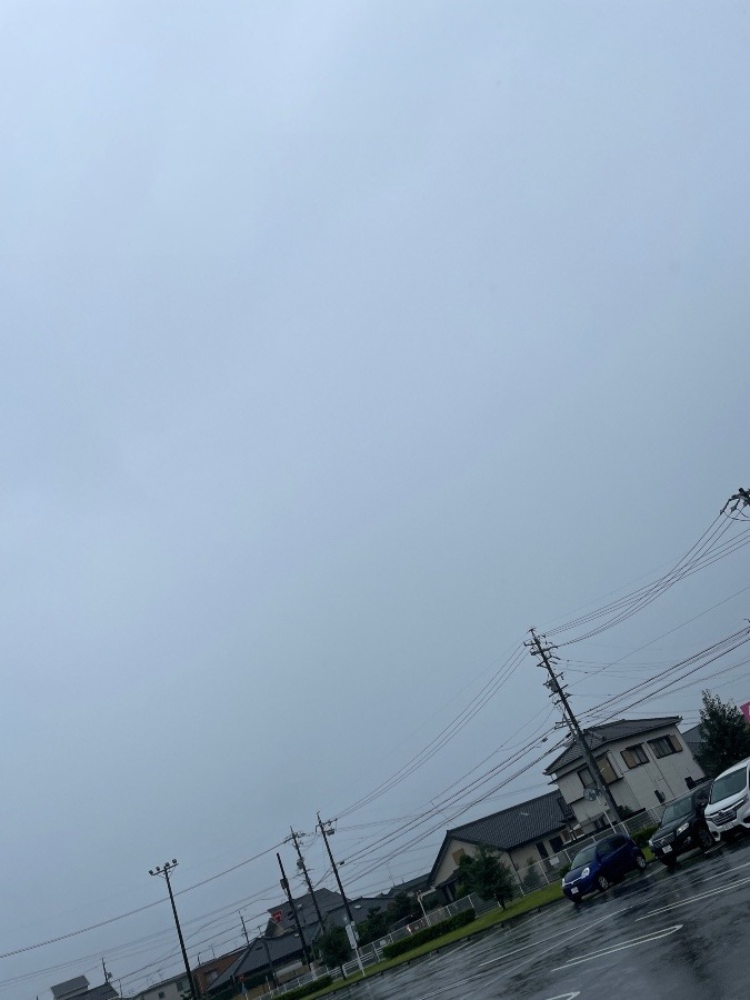 今日の岡崎