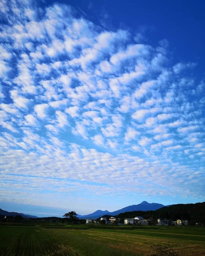 今朝の空をもう一度