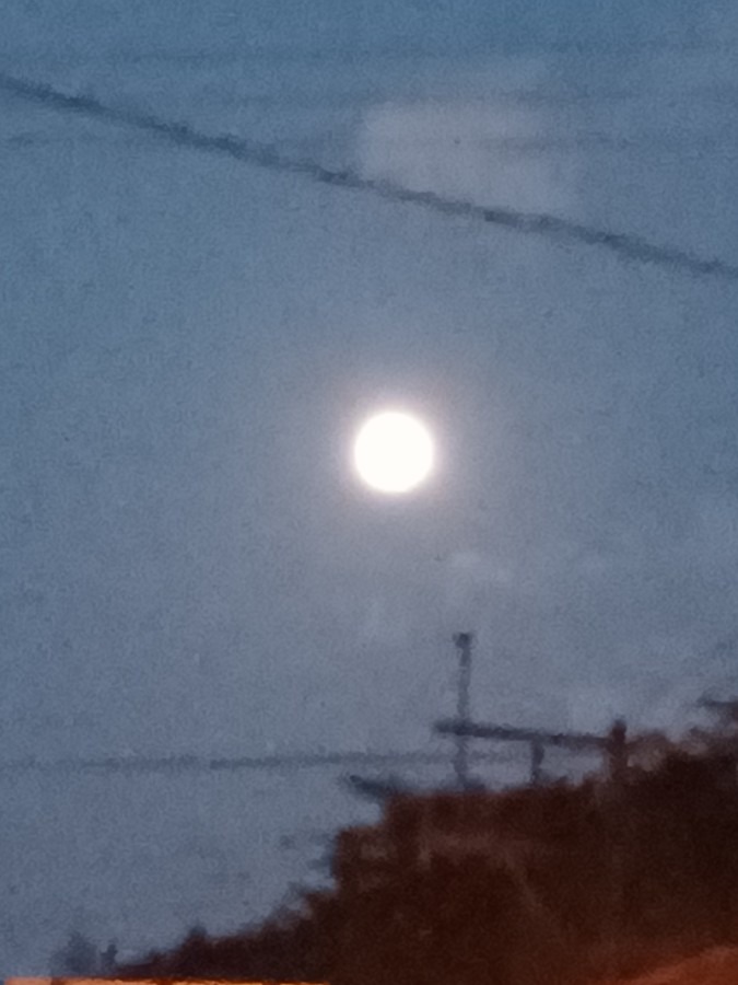 朝、見た月