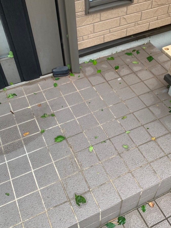 玄関前…台風の跡
