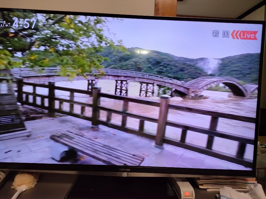 これは何の光❓