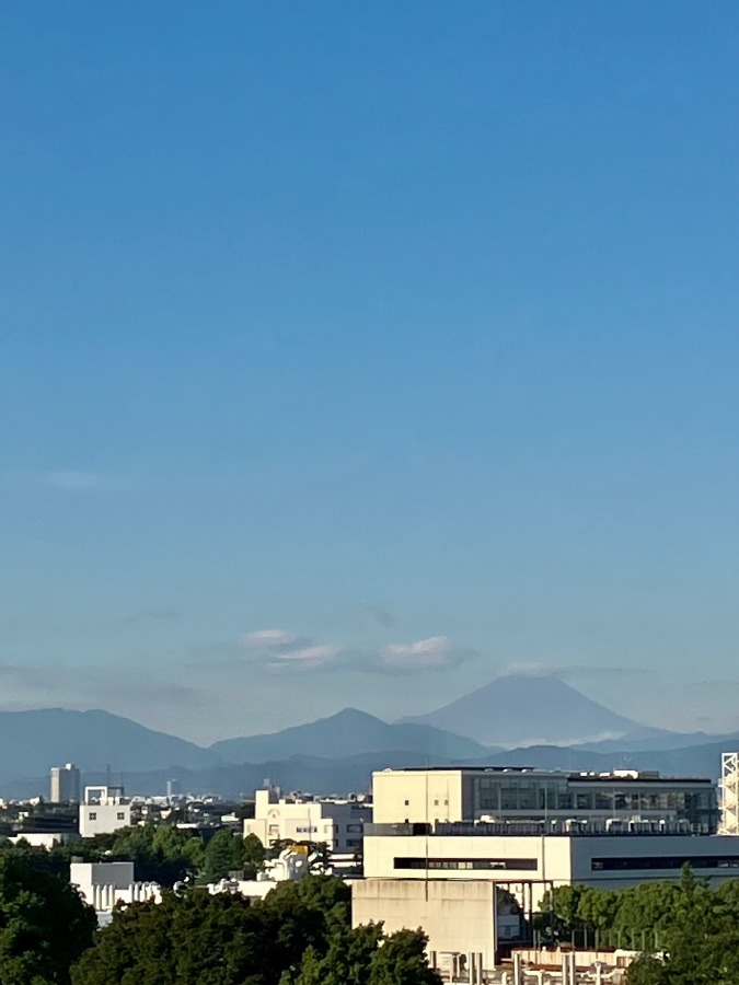 今朝の富士山